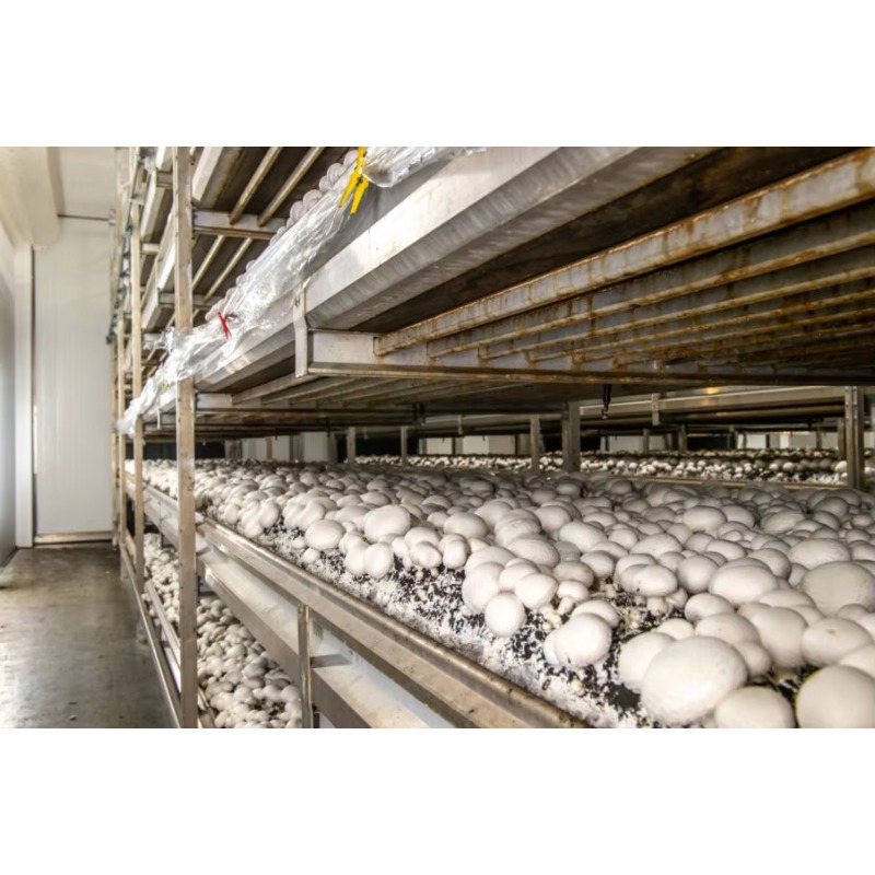 Hydroponic Container Farm with - Urban Farming Projects review and price